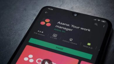 Asana Task: The Best Powerful Tools for Task Management